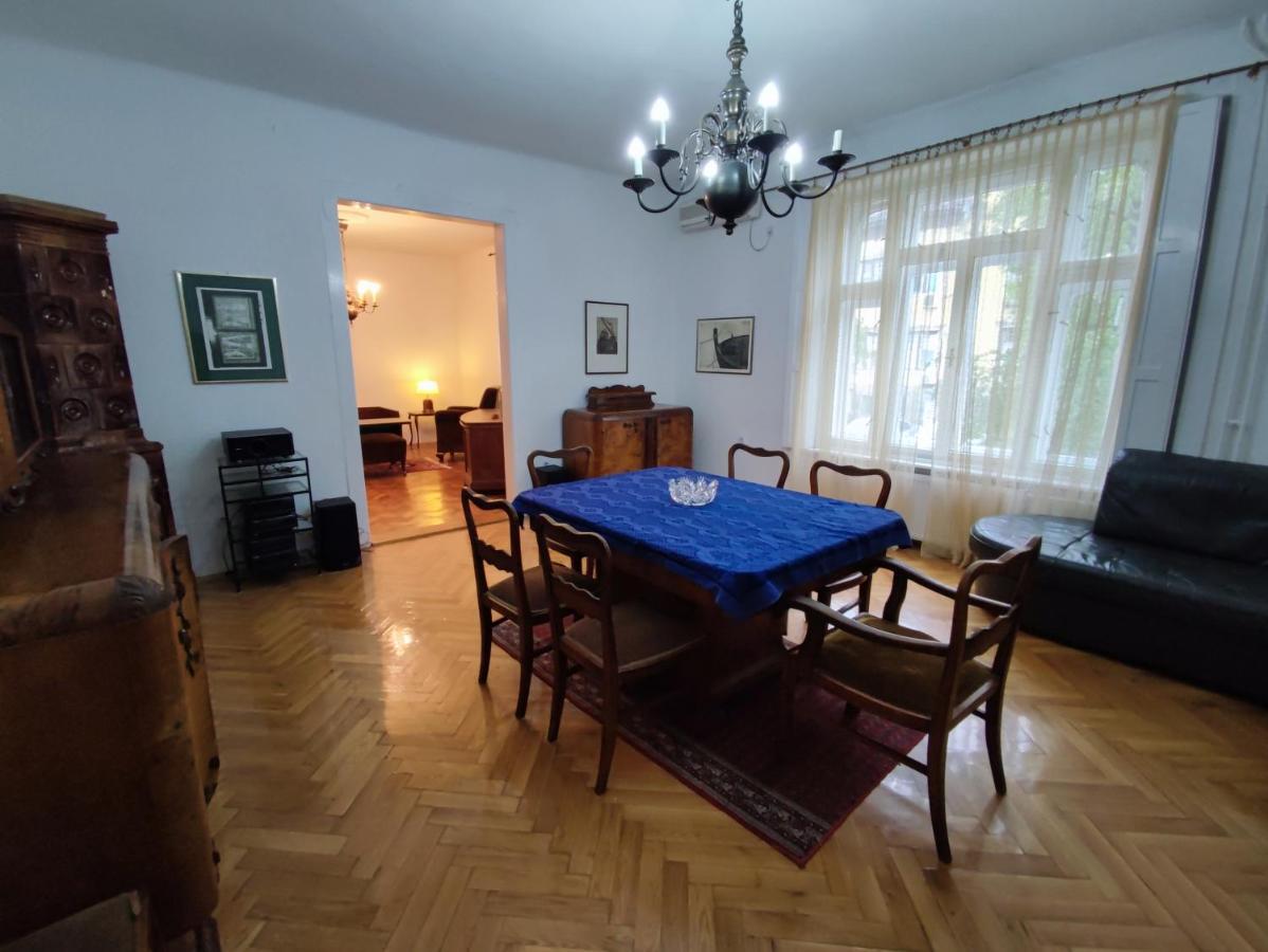 Vintage Apartment In The Center Of Новий Сад Екстер'єр фото